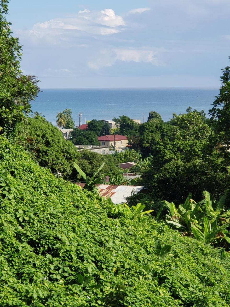 Viva Violas Port Antonio Bagian luar foto