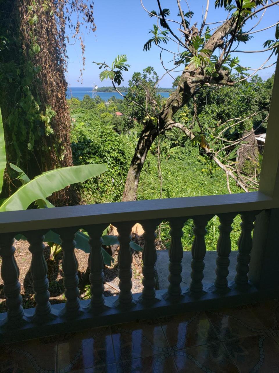 Viva Violas Port Antonio Bagian luar foto