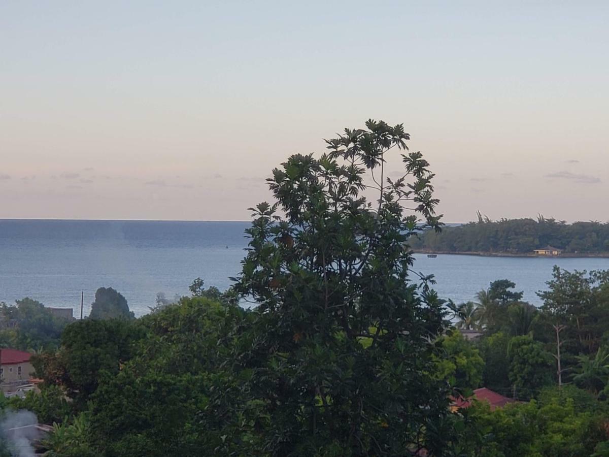 Viva Violas Port Antonio Bagian luar foto