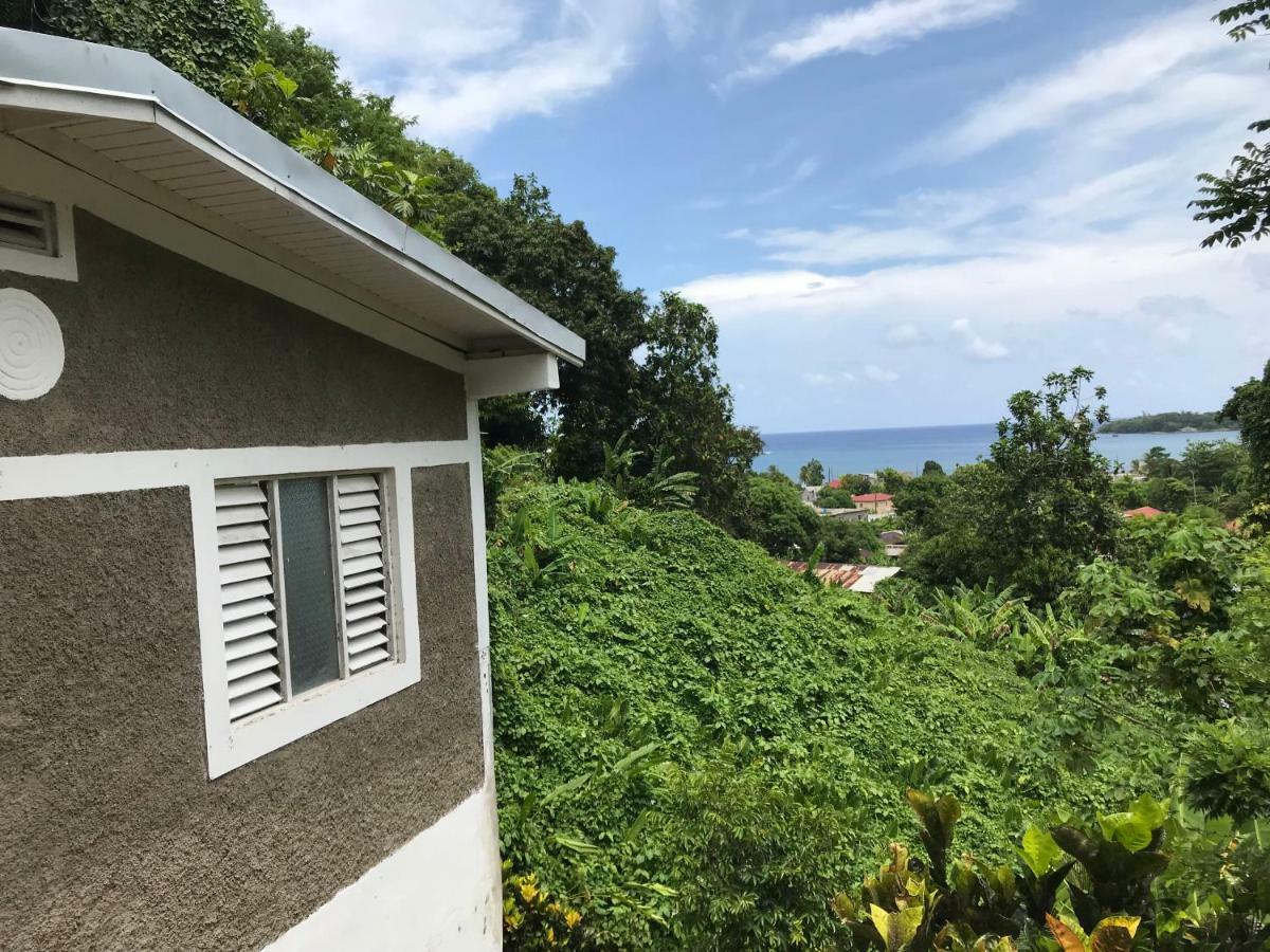 Viva Violas Port Antonio Bagian luar foto