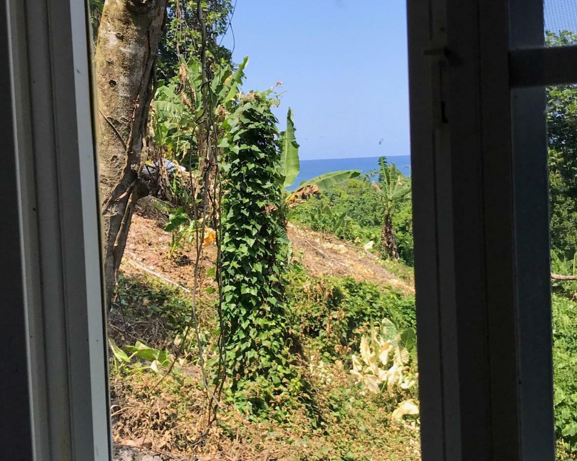 Viva Violas Port Antonio Bagian luar foto